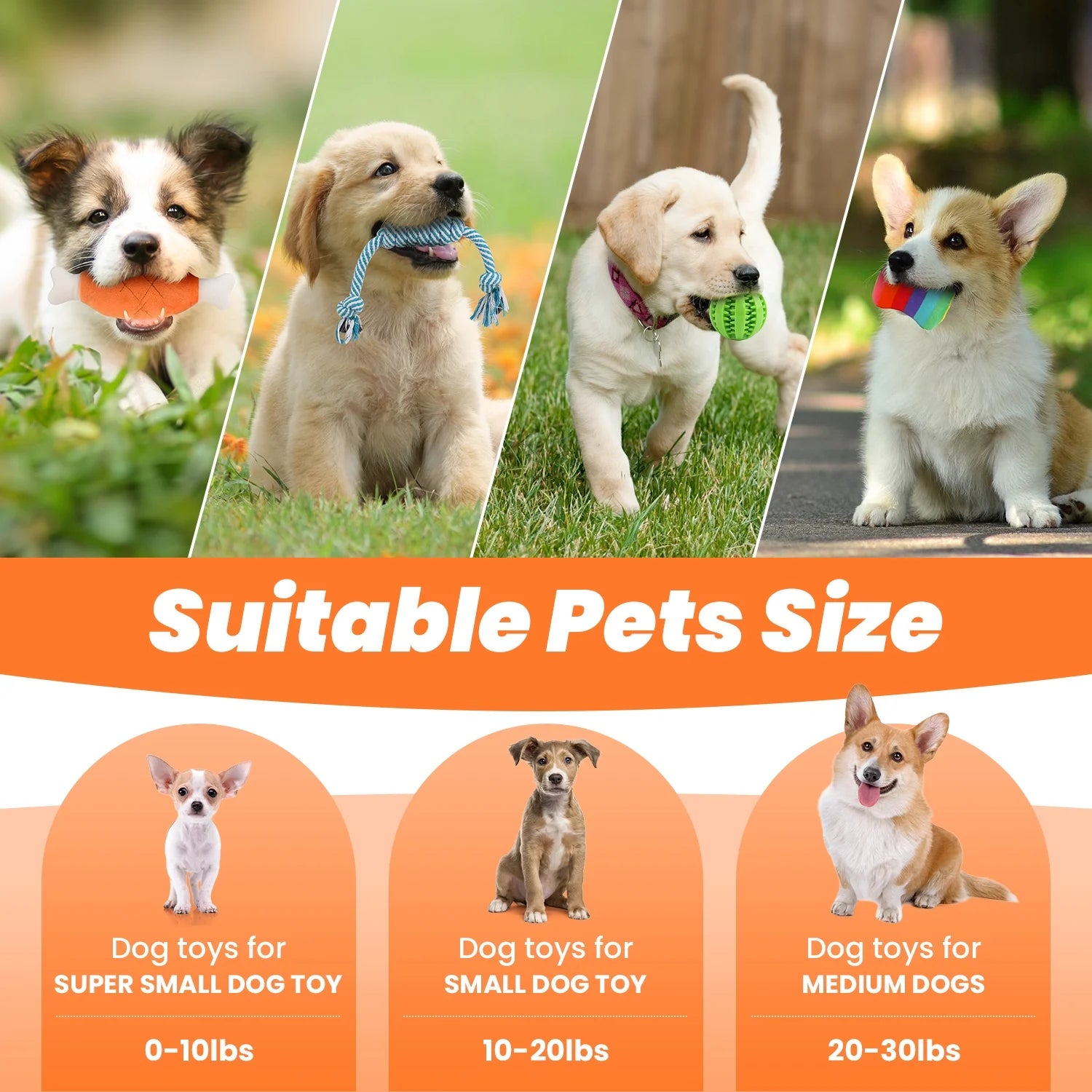 Small Dog Toy Collection: 10-Piece Set of Chew Toys for Teething and Training, Including Plush Squeaky Toys, Treat Balls, and Rope Toys for Engaging Playtime