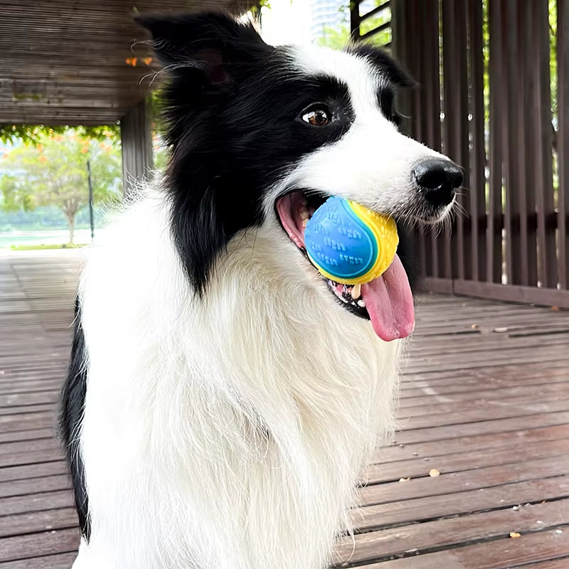 Interactive Soft TPR Dog Toys for Dental Care and Bite Resistance - Squeaky Ball Toy