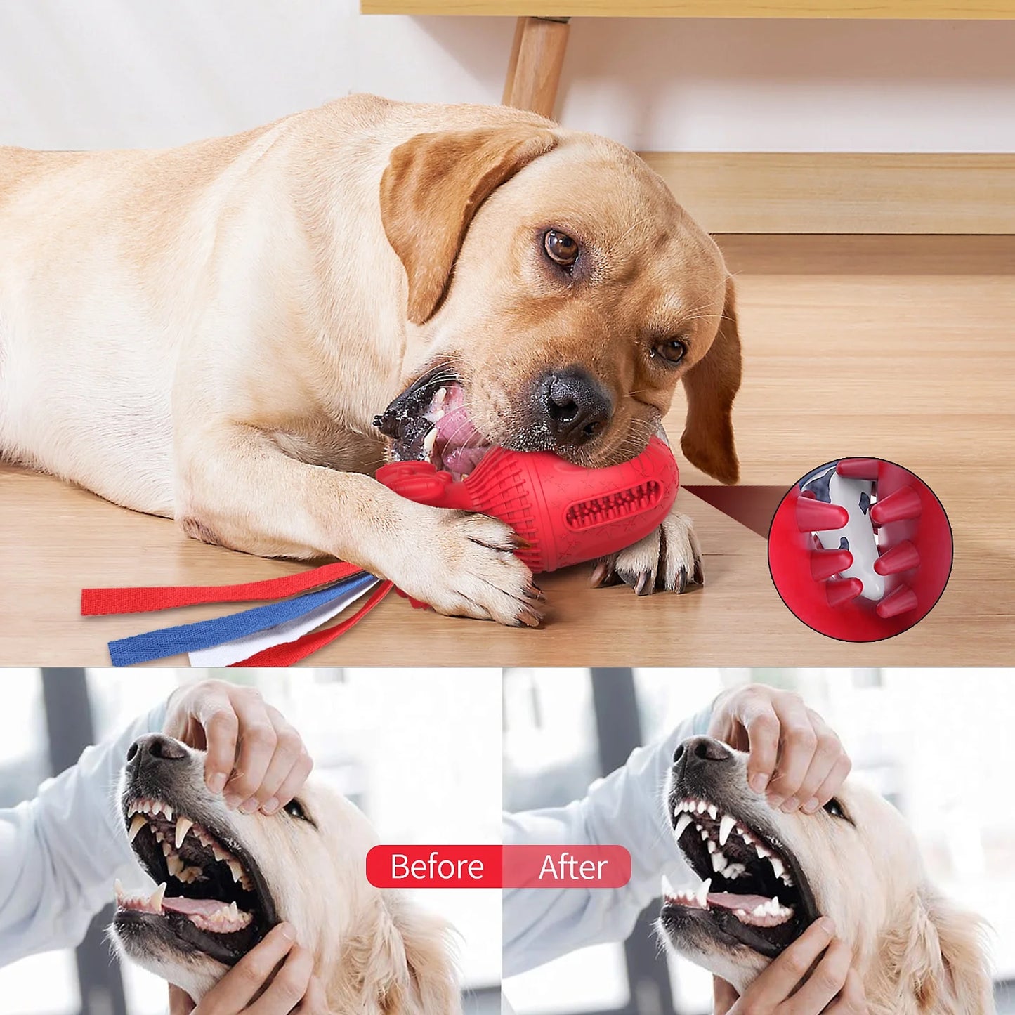 Interactive Squeaky Toy for Large and Medium Dogs - Clearance Item, Assorted Colors Available