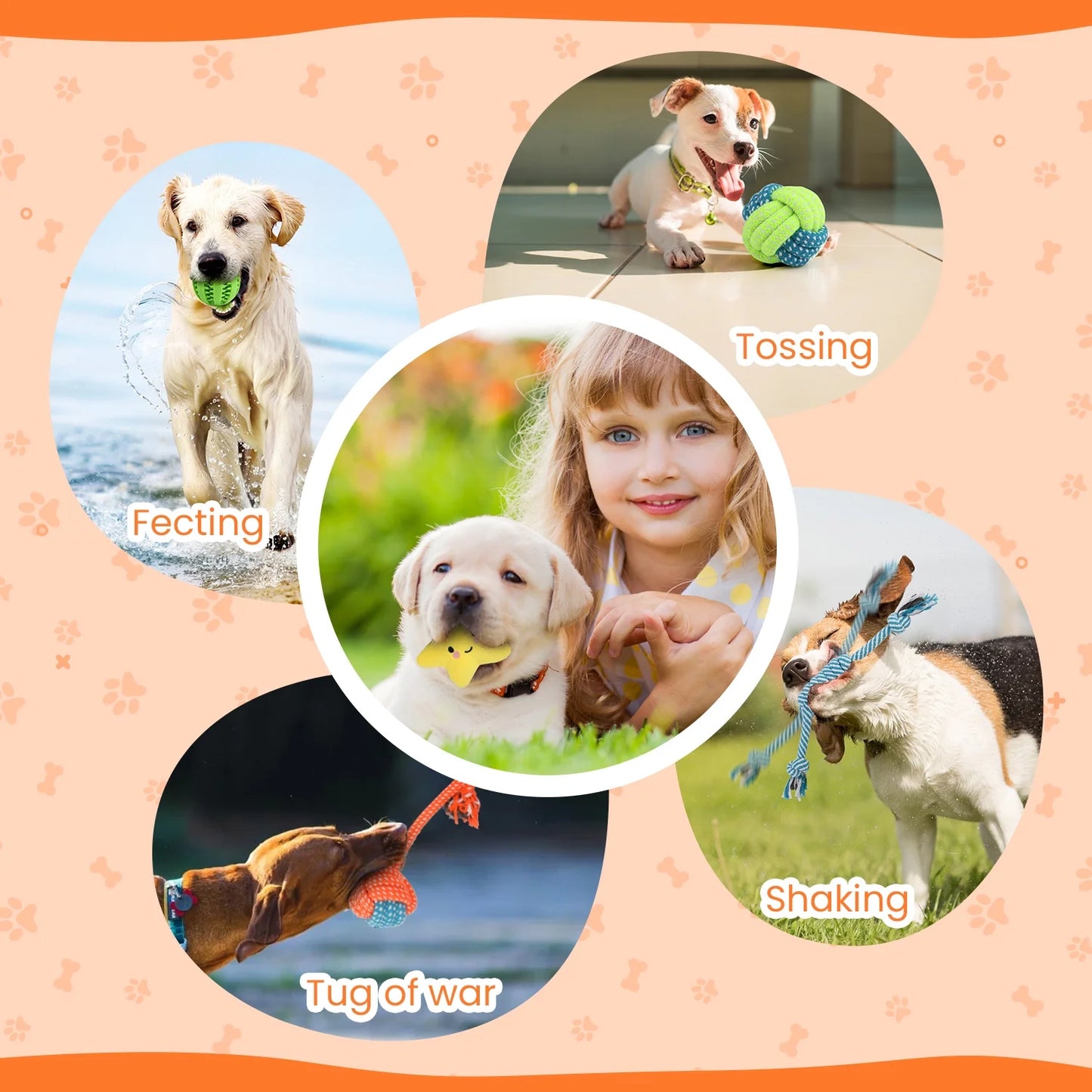 Small Dog Toy Collection: 10-Piece Set of Chew Toys for Teething and Training, Including Plush Squeaky Toys, Treat Balls, and Rope Toys for Engaging Playtime