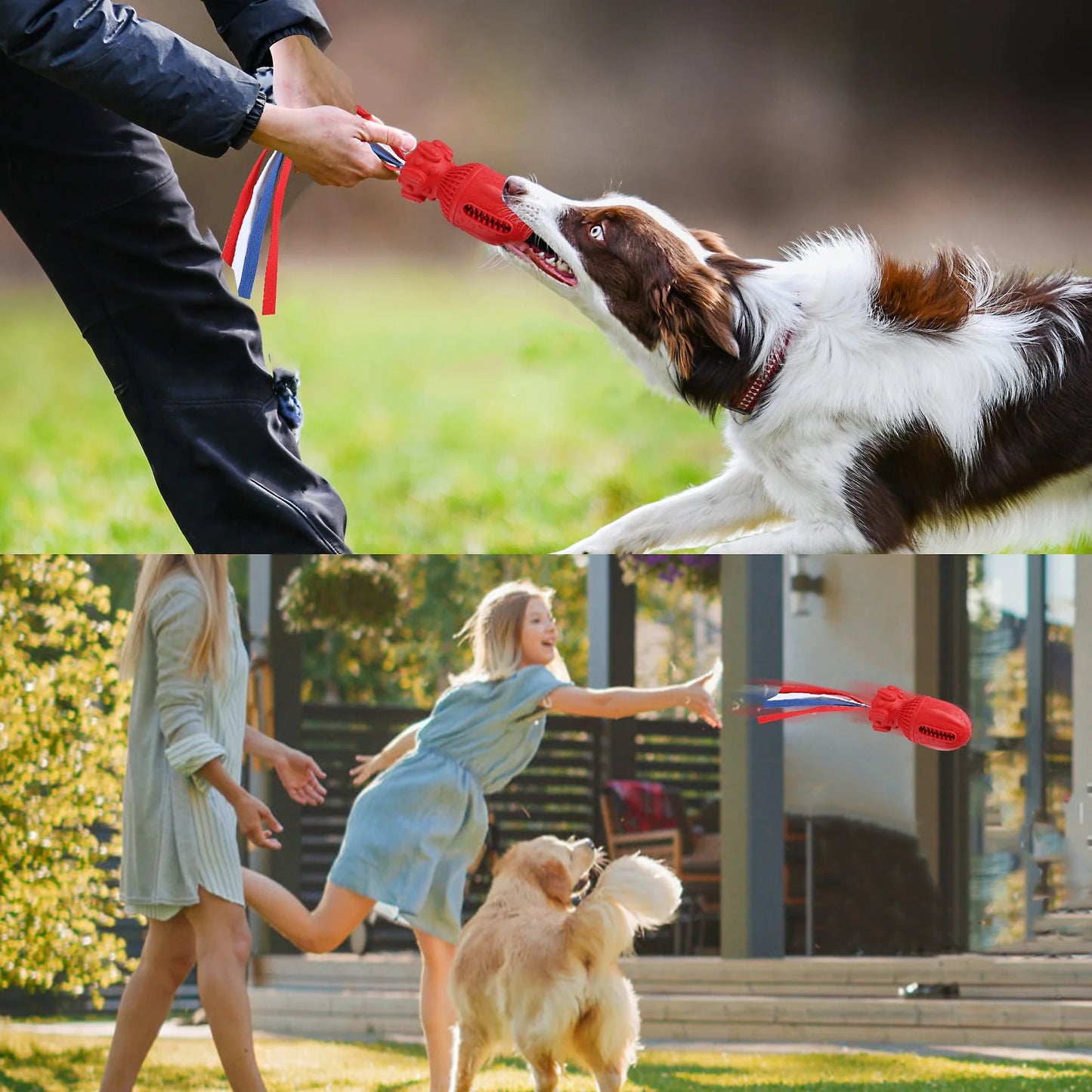 Interactive Squeaky Toy for Large and Medium Dogs - Clearance Item, Assorted Colors Available